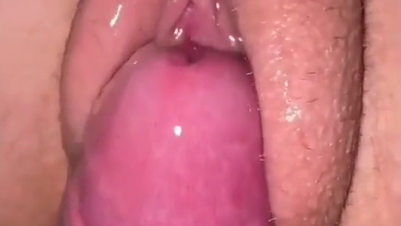 pantube9VudAvFznMUJzCqc