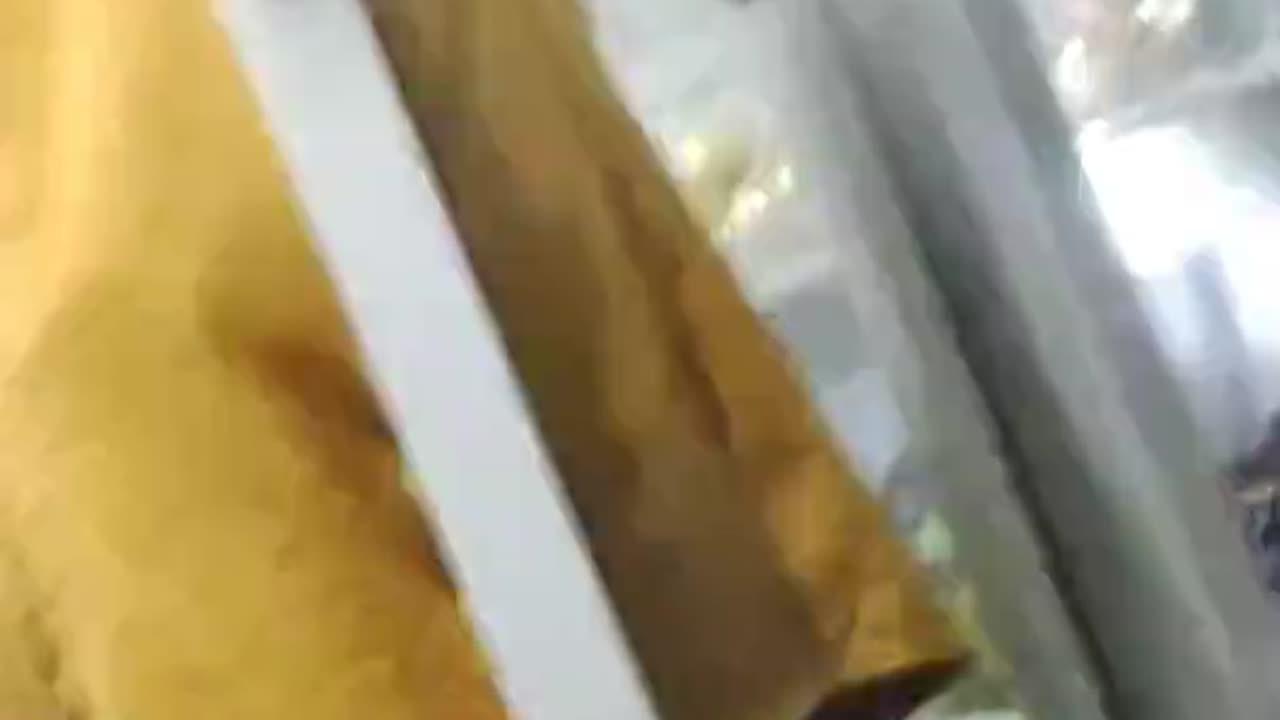 pantubejzt0zU06WCfyyOEv