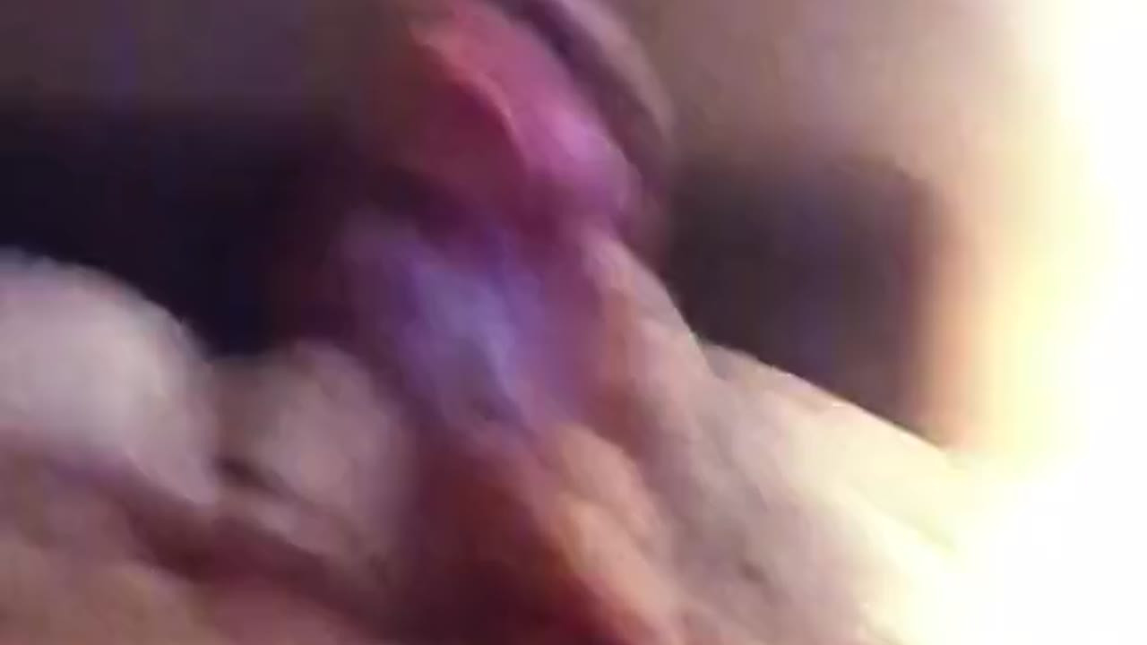 pantubet6fPkzu9s1KVb2Tx